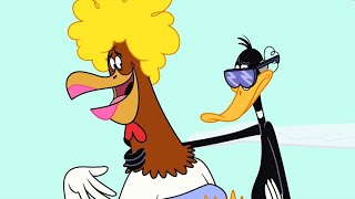 New Looney Tunes | Daffy Duck & Foghorn Leghorn | Boomerang