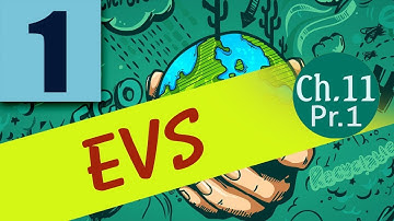 class 1 evs chapter 11 animals around us part 1 26 October 2020