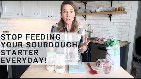 You do NOT have to Baby your Sourdough Starter, here