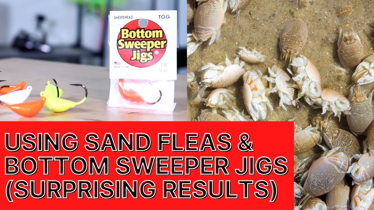 Using Sand Fleas and Bottom Sweeper Jigs for Whatever Bites (Surprising  Results!) 