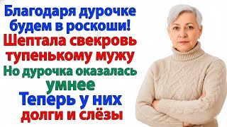 видео: «ДУРОЧКА НАС ПРОКОРМИТ?» — МЕЧТАЛА СВЕКРОВЬ. ИТОГ: НИЩАЯ ХАЛУПА БЕЗ МЕНЯ! картинка: «ДУРОЧКА НАС ПРОКОРМИТ?» — МЕЧТАЛА СВЕКРОВЬ. ИТОГ: НИЩАЯ ХАЛУПА БЕЗ МЕНЯ!