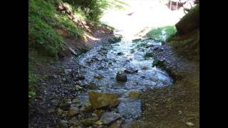 Transcendance - Extrait - Cd Line Belzile