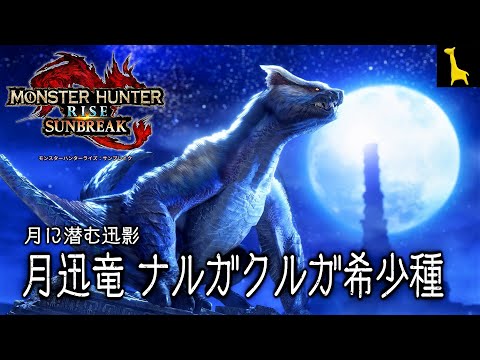 モンハンライズ サンブレイク】字幕実況#12 M☆6 ナルガクルガ