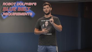 My Requirements to Achieve Blue Belt