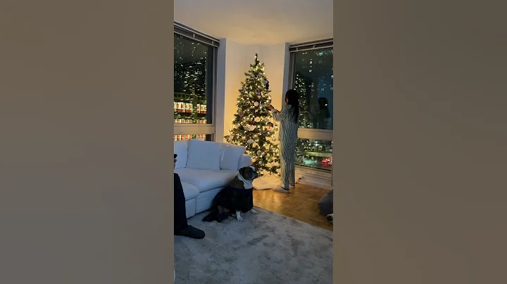 Decorating our nyc apartment for christmas🎄 #christmas2023 #christmastree #christmasinnewyork #nyc