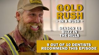 Gold Rush In A Rush Recap - Season 16, Episode 4 - Buzz In The Hills