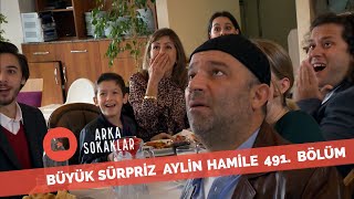 Büyük Sürpriz Aylin Hamile 491. Bölüm