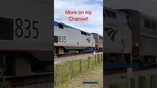 Amtrak Auto Train #floridatrains #railwaycrossing #trainenthusiasts #trainspotting #amtrak #train