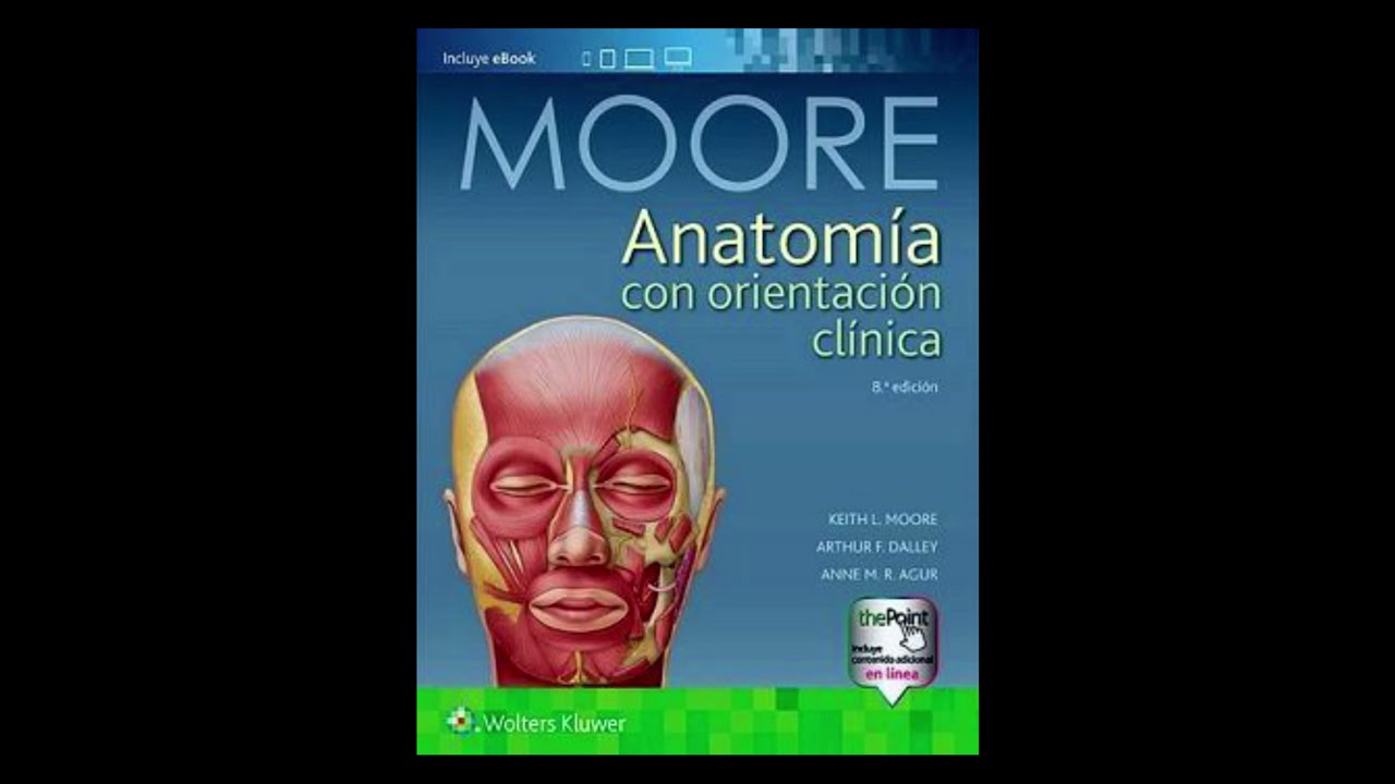 libro de anatomía Moore 8° edición - YouTube