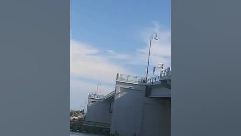 Boys jumping off the bridge