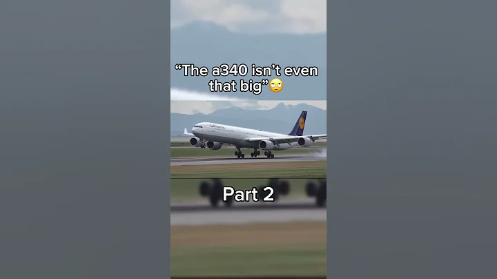 The true size of the airbus a340🫡#aviation#a340