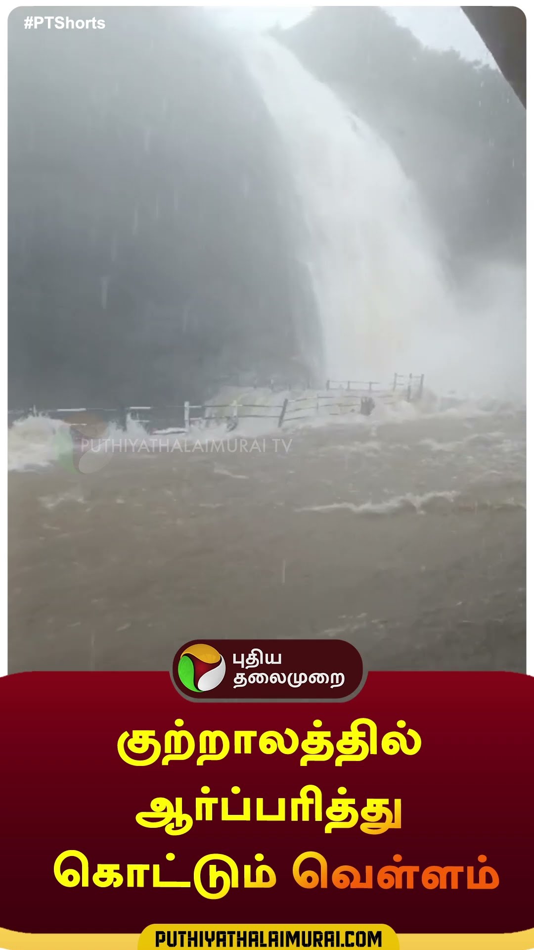 குற்றாலத்தில் ஆர்ப்பரித்து கொட்டும் வெள்ளம் | #shorts | #Courtallam | #flood