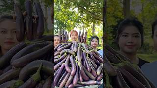 Cooking yummy eggplant deep fried crispy recipe