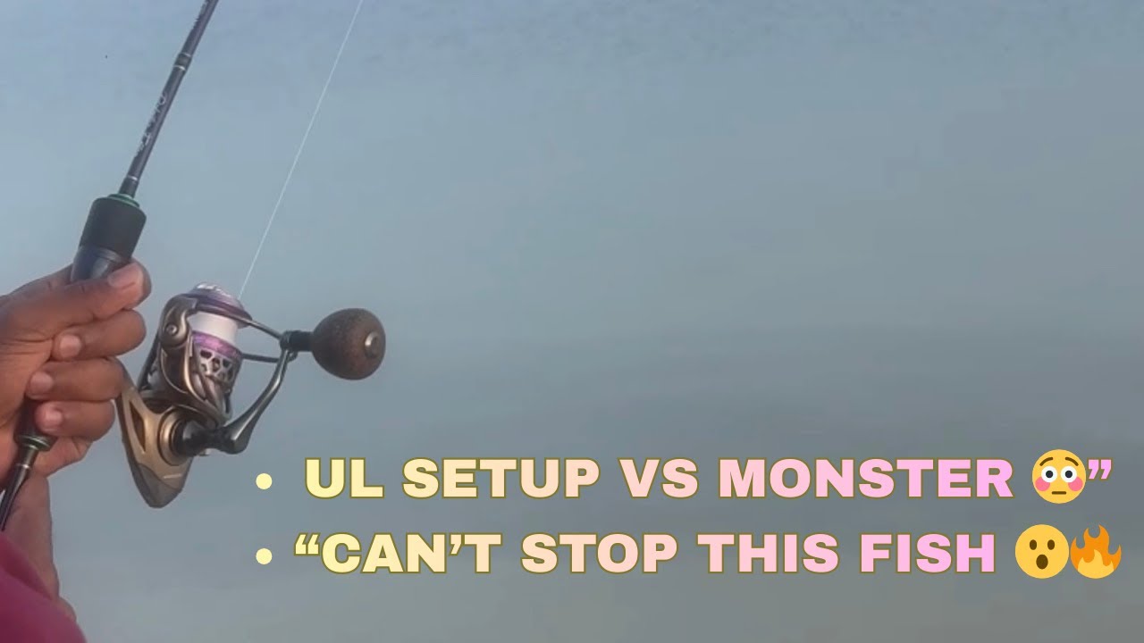 Light Tackle vs Monster Fish 💥 (Abu Dhabi Shore Fishing)#fishing #abudhabi #shortsfeed #uaefishing 