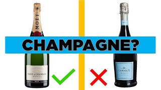 Champagne Explained: The difference between Sparkling Wines|Champagne | Cava | Prosecco | California