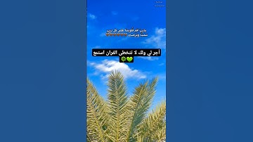 تلاوة عطره ومؤثرة للشيخ | اسلام صبحي | سورة النمل #اسلام_صبحي #سورة_النمل