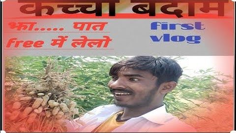 Kacha Badam ।कच्चा बदाम। funny first vlog