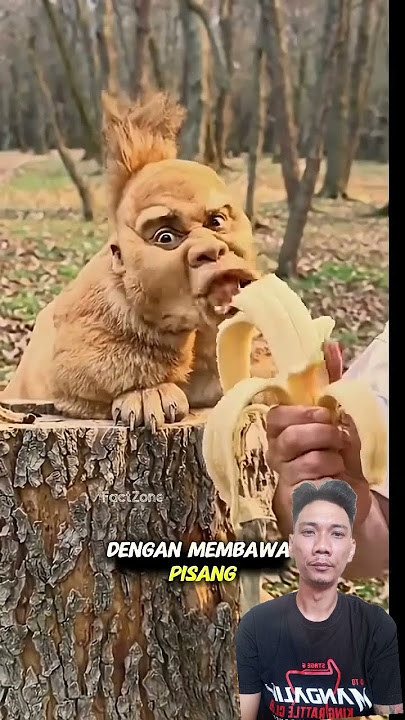 #jalanyangjauhjanganlupapulang #kucing #satuklikuntukwujudkanimpianmu #facts #kucinglucu #cat