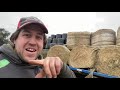 A dog a jcb and a ... loading hay Episode 30