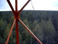 View of high to Simonys forest, Lithuania / Šimonių giria iš aukštai