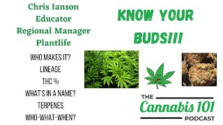 Know Your Buds! from episode 91 of the Cannabis 101 Podcast - 72 Volt from RGB @rgbcannabis