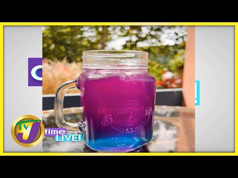 Blue Mountain Sunset Drink Mix | TVJ Daytime Live Mix