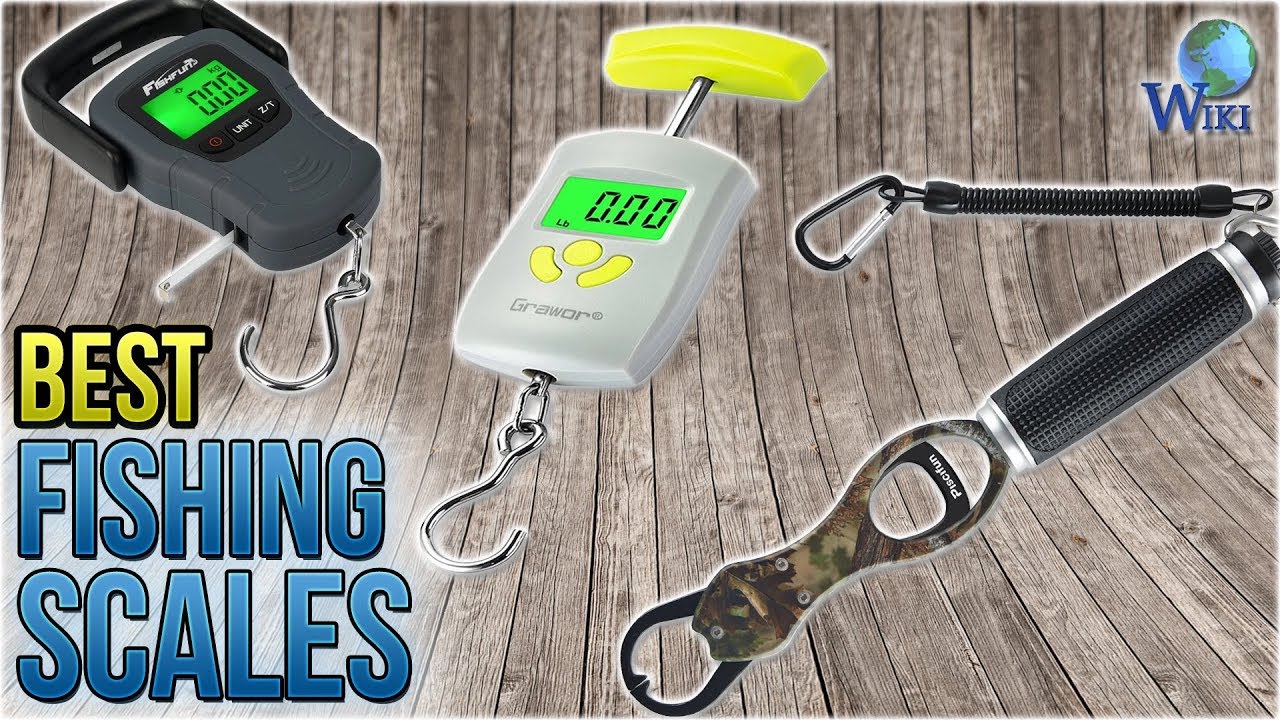 10 Best Fishing Scales 2018 