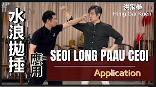 洪家拳 - 水浪拋捶 應用 Hung Gar Kuen - Seoi Long Paau Ceoi Application