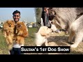 Sultan Attending His First Dog Show 😱