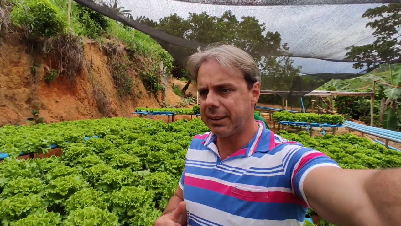 Hidroponia nova, capricho e simplicidade, alface caipira, aproveitamento de materiais