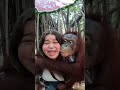 Safari World , Bangkok Thailand  #shorts Mp3 Song