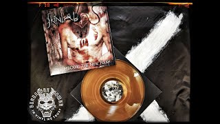 SKINLAB - Disembody: The New Flesh (Vinyl Review)