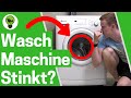 Waschmaschine Stinkt ✅ ULTIMATIVE LÖSUNG: Waschmaschine Reinigen, wenn Wäsche nach Waschen Stinkt???