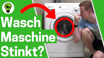 Wie bekomme ich den muffigen Geruch aus der Waschmaschine?