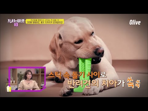 놀면서 양치까지 OK! 셀프 칫솔 등장★ [반려동물 행복지수 UP되는 펫 용품 10] | freemarket10 프리한마켓10