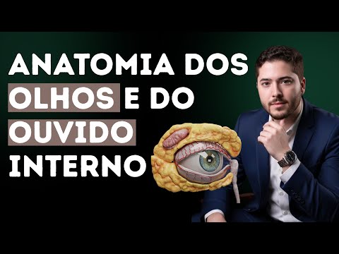 ANATOMIA DOS OLHOS E DO OUVIDO INTERNO. VIDEO AULA. ENSINO SUPERIOR