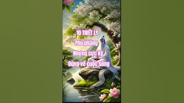 10 Triết lý phủ phàng nhưng cực kỳ  đúng về cuộc sống I #trietlysong #baihoccuocsong