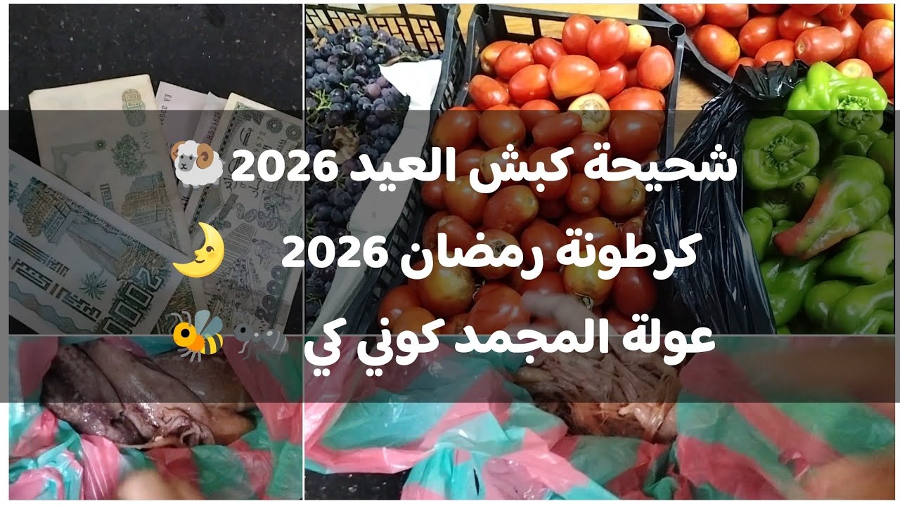 وقتاه تفطني وتخرجي من العشوائية😏قولي باسم الله وبداي معانا كوني فحلة وين يحطوك يلقوك💪