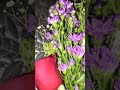 عمر العبداللات نجحنا