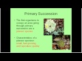 Ecological Succession Quiz