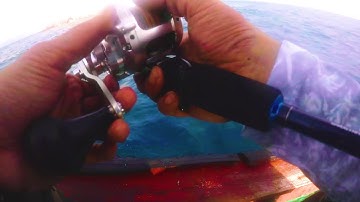 CÂU CÁ BỚP Ở CÔN ĐẢO