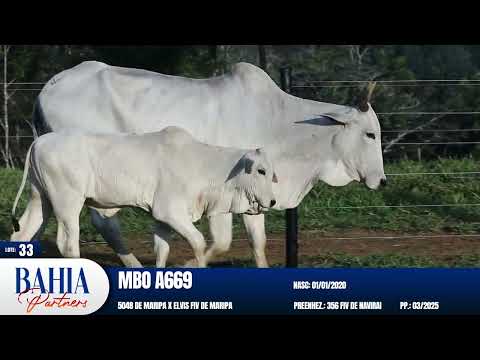 LOTE 33 - MBOA 669