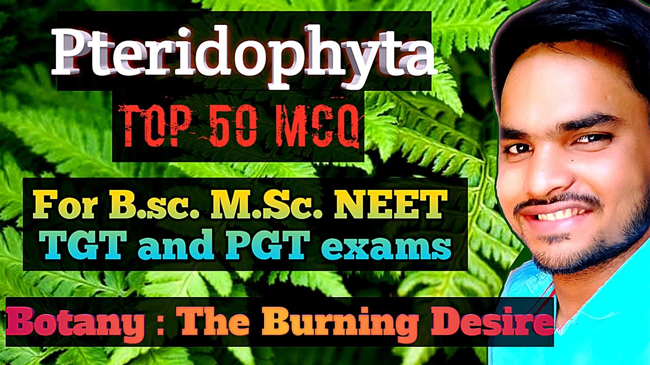 MSc Botany Entrance & Assistance Professor 2025 | Pteridophyte Top 50 MCQ for CUET