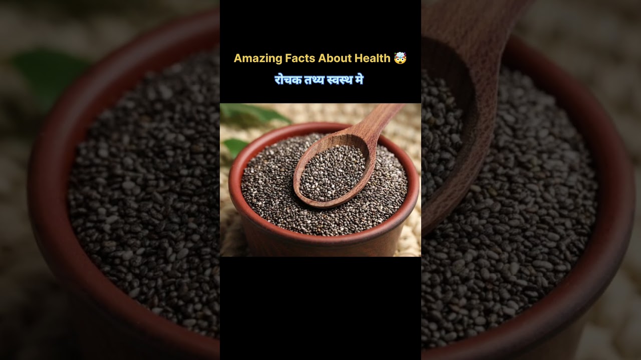 Top 8 Fact About Food 