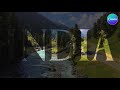 How to Add Text on Video in Canva | Easy Step-by-Step Tutorial #canva #design