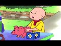 Caillou és a Bolhapiac | Caillou Magyarul - WildBrain