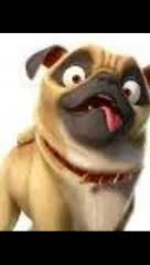 The nut job 3 Teaser Trailer 2027 Concept