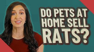 Do pets at home sell rats?