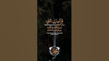 قل أعوذ برب الفلق عبد الباسط عبد الصمد القرآن الكريم