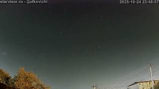 2025-10-25-Гулькевичи